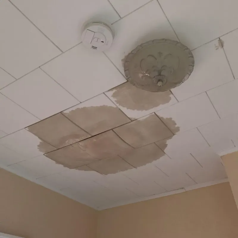 Ceiling Water Damage Repair in Attica, NY