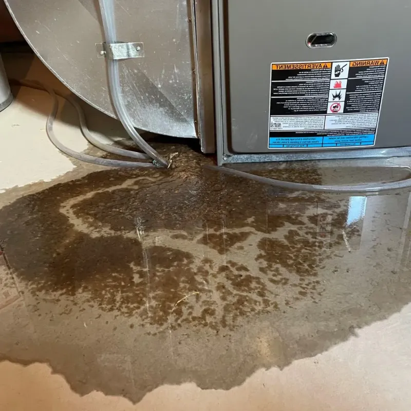 Pipe Burst and Leak Restoration in Attica, NY
