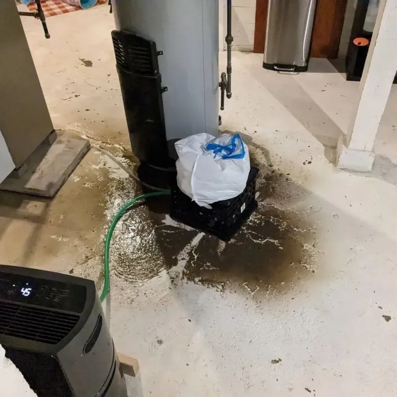 Sewage Backup Cleanup Service in Attica, NY